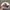 Supreme Skater Hat Pria white photo 3