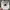 Supreme Skater Hat Pria white photo 4