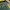 Reebok Gorpcore Sportswear Windbreaker Pria green yellow photo 7