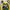 Reebok Gorpcore Sportswear Windbreaker Pria green yellow photo 2