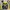 Reebok Gorpcore Sportswear Windbreaker Pria Green Yellow