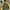 Reebok Gorpcore Sportswear Windbreaker Pria green yellow photo 4