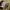 Sportswear Polo shirt Pria cream photo 6
