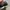 Nike Streetwear Skater Sneakers Pria white black photo 3
