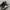 Nike Streetwear Skater Sneakers Pria white black photo 2