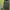 American Eagle Green Long Sleeve Top