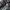 Grunge Casual Trench coat Pria black photo 7