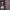 Bally Windbreaker Pria multicolor photo 4