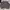 Champion Minimalist Sweater Pria Gray