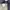 Kangol Streetwear Casual Bag Pria tan gray photo 5