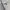 Kangol Streetwear Casual Bag Pria tan gray photo 3