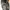 Nike Y2K Sportswear Bag Pria black photo 4