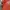 Piko Sports Streetwear Y2K T-shirt Pria orange photo 3
