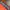 Piko Sports Streetwear Y2K T-shirt Pria orange photo 8