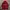 New Balance Casual Hoody Pria Red