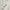 Vintage Luxury Windbreaker Pria white photo 4