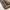 Casual Short Pria brown photo 4