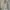 Ann Demeulemeester Goth Avant Garde Pea coat Pria cream photo 1