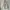 Ann Demeulemeester Goth Avant Garde Pea coat Pria cream photo 2