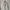 Ann Demeulemeester Goth Avant Garde Pea Coat Pria Cream