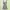 Cottagecore Coquette Summer Dress Wanita Green Red