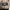 Tornado Mart Y2K Goth Fur coat Pria cream photo 4