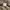 Tornado Mart Y2K Goth Fur coat Pria cream photo 7