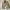 Tornado Mart Y2K Goth Fur coat Pria cream photo 2