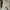 Tornado Mart Y2K Goth Fur coat Pria cream photo 5