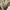 Tornado Mart Y2K Goth Fur coat Pria cream photo 6