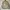 Tornado Mart Y2K Goth Fur coat Pria cream photo 3