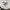 Y2K Bomber jacket Pria white photo 2