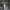 Adidas Emo Windbreaker Pria white black photo 4