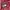The North Face Puffer jacket Wanita burgundy photo 4