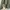 Patagonia Casual Track jacket Pria green photo 4