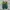 Puma Streetwear Casual shoe Pria green yellow photo 3