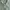 Burberry Vintage Casual Windbreaker Pria green photo 7