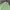 Burberry Vintage Casual Windbreaker Pria green photo 3