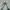 Y2K Swimwear Wanita white green blue photo 2