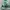 Y2K Swimwear Wanita white green blue photo 3