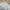 Uniqlo Vintage Casual Windbreaker Pria cream photo 3