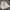 Yves Saint Laurent YSL Vintage Casual Windbreaker Pria cream photo 6