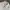 Yves Saint Laurent YSL Vintage Casual Windbreaker Pria cream photo 4