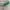 Y2K Belt Wanita green photo 3
