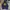 Streetwear Sweater Pria navy photo 2