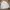 Uniqlo Vintage Casual Windbreaker Pria white photo 1