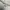 Champion Vintage Sweatshirt Pria white photo 3