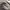 Maison Margiela Avant Garde Futurist Sneakers Pria white photo 3