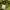 3 Second Vintage Windbreaker Pria green tan photo 3