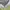 Barbour Casual Polo shirt Pria green photo 3